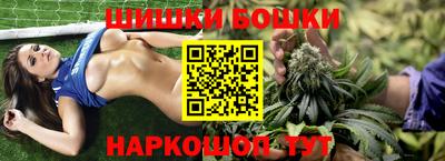 гидропоника Кингисепп