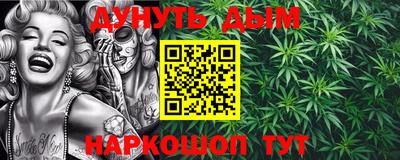 гидропоника Кингисепп